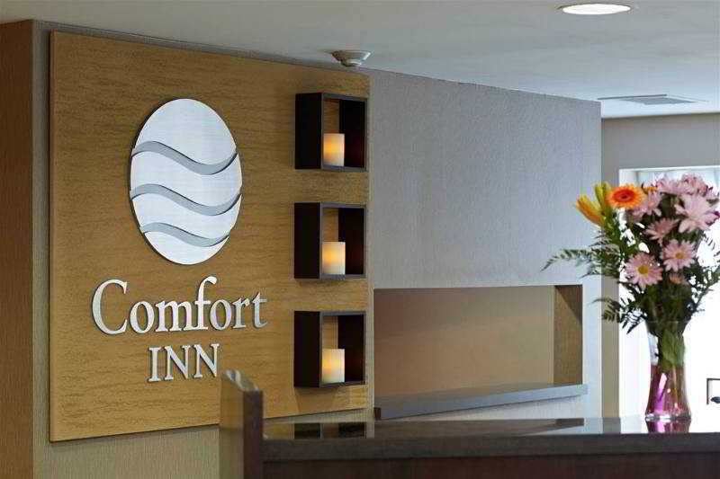 Comfort Inn West Edmonton Exterior foto